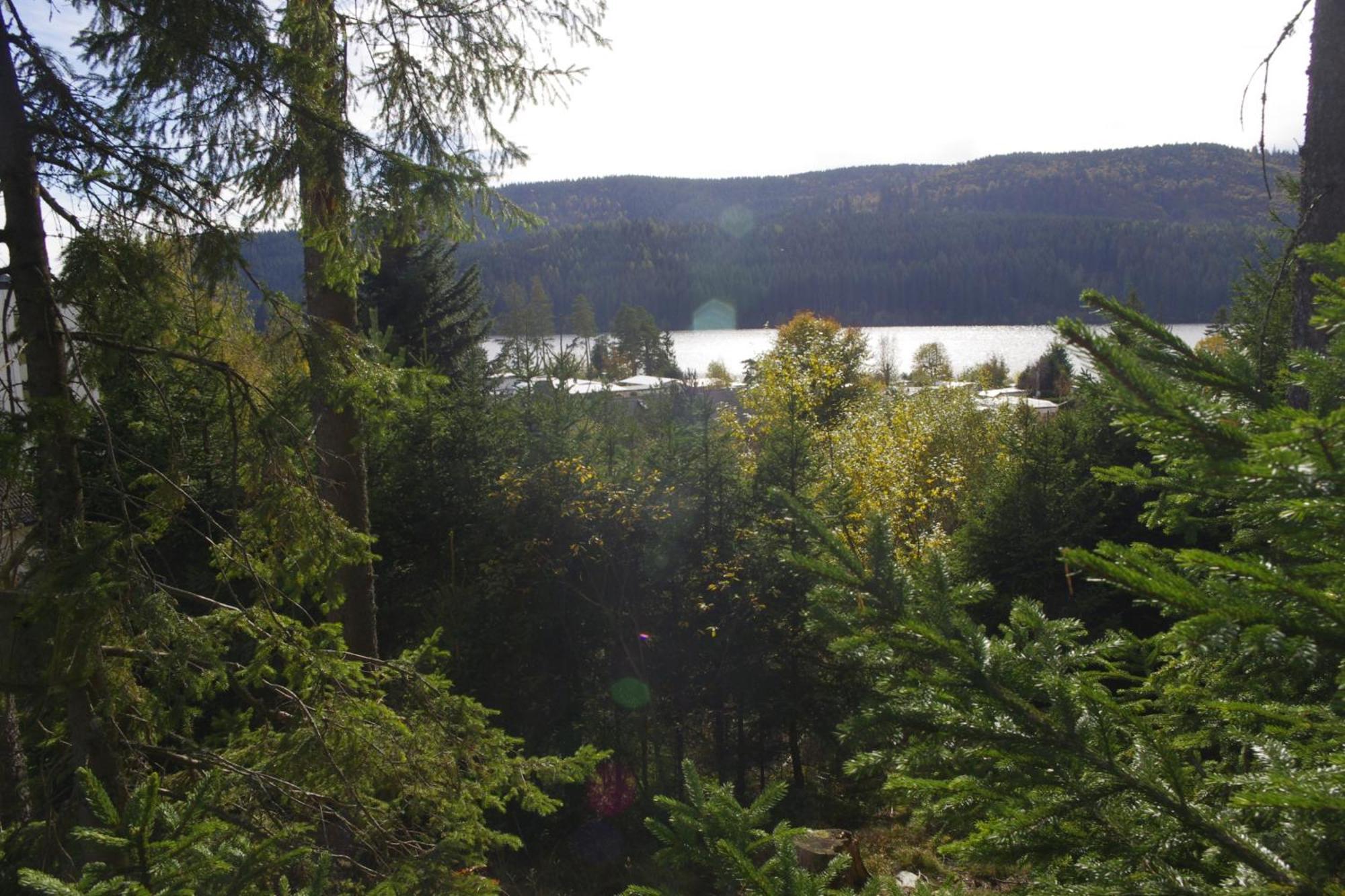 Villa Schwarzwald Schluchsee Exterior foto