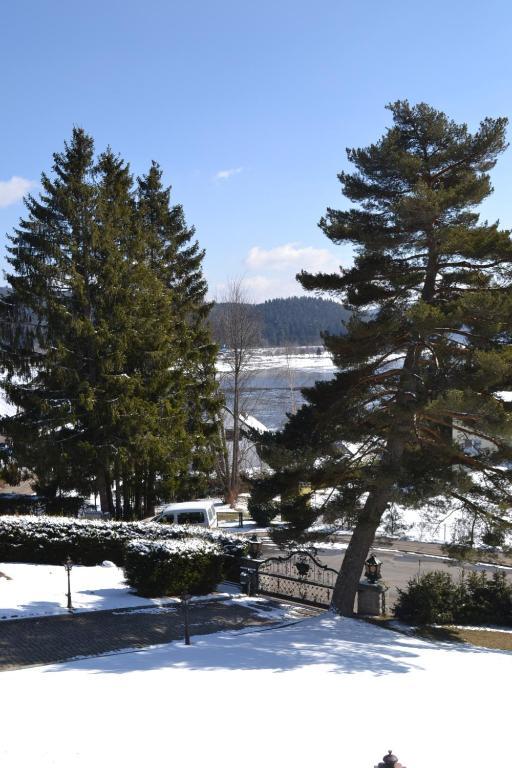 Villa Schwarzwald Schluchsee Exterior foto